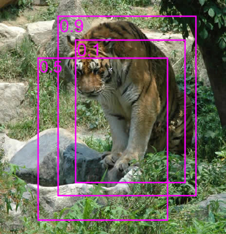 detections before non-maximum suppression applied