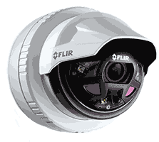 Flir DH-390 Dome